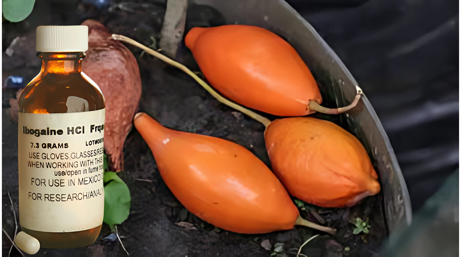 Ibogaine